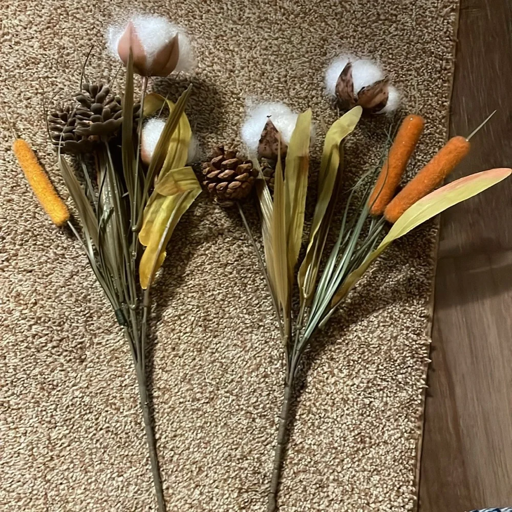 3 Fall Cotton Picks